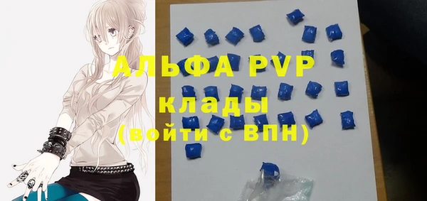 метадон Алексин