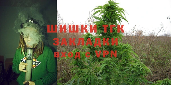 стаф Касимов