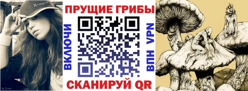 Галлюциногенные грибы прущие грибы  Североуральск 